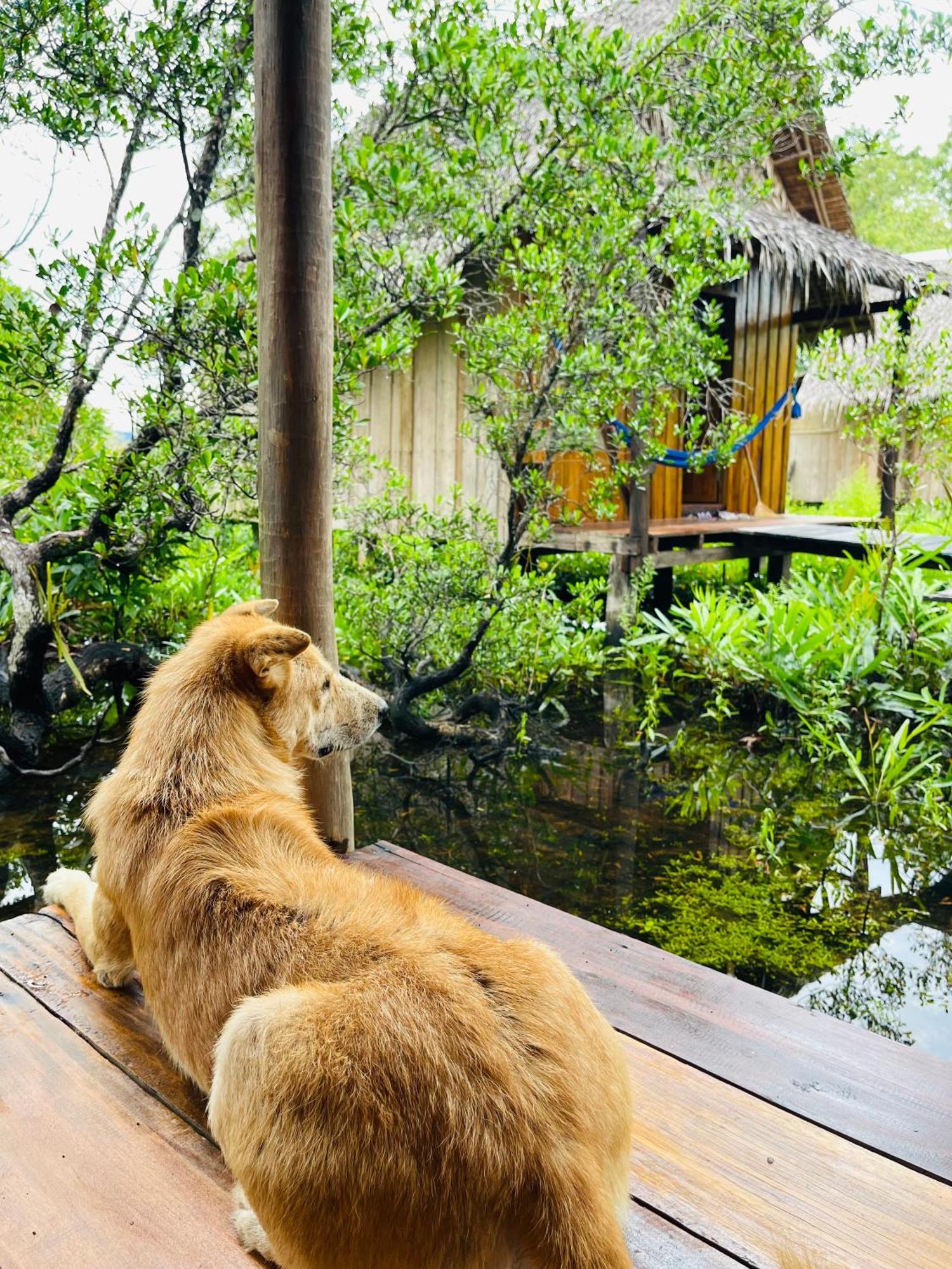 Lily'S Riverhouse Prek Svay Village Exterior foto